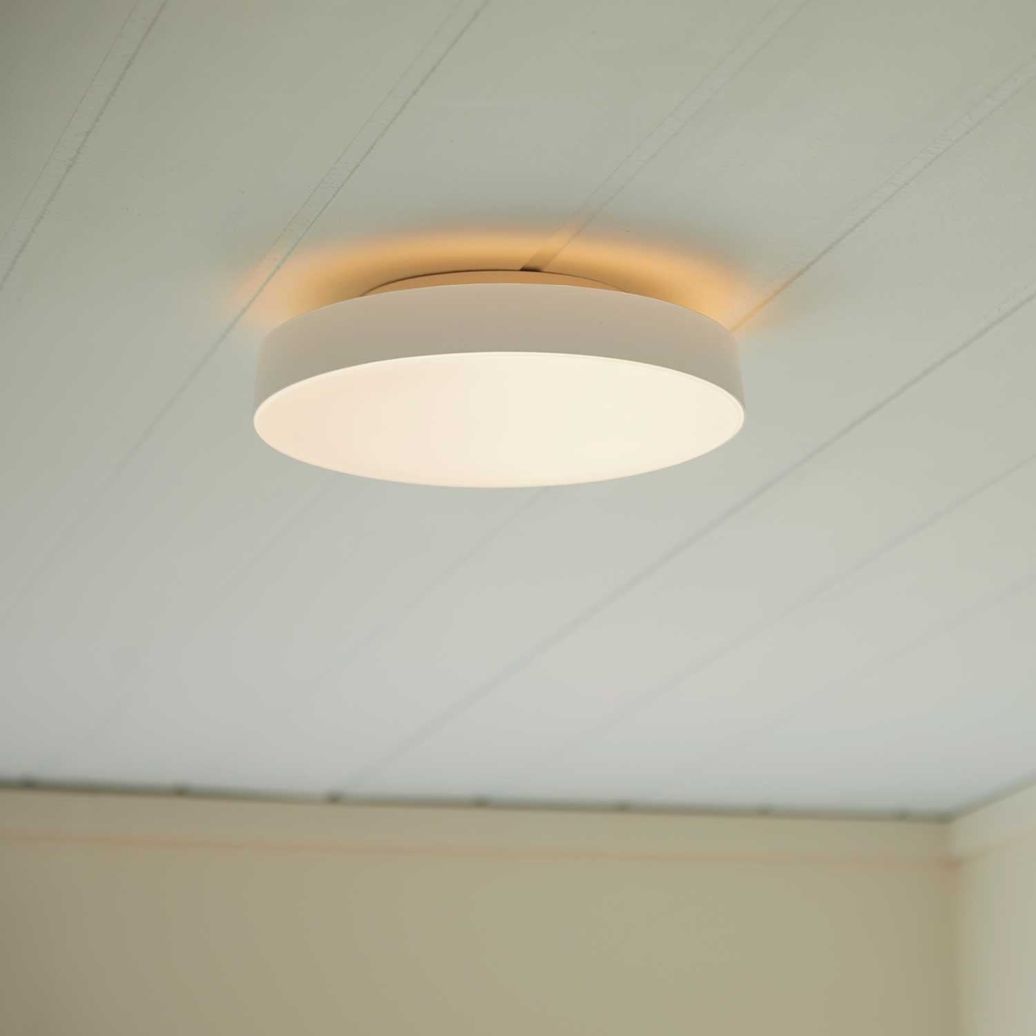 Avela Wall/Ceiling