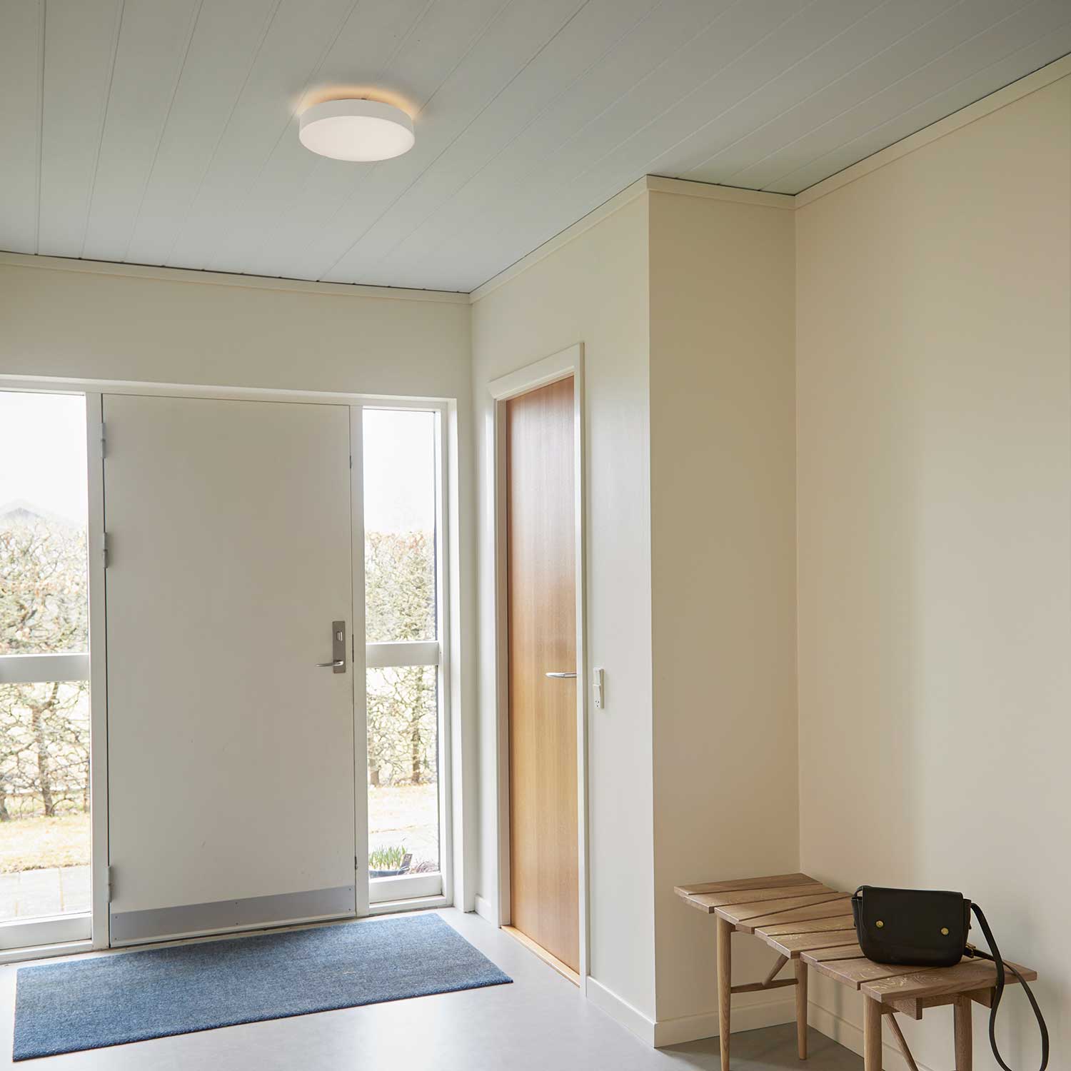Avela Wall/Ceiling