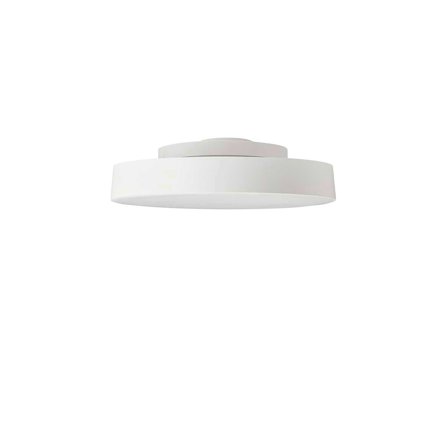 Avela Wall/Ceiling