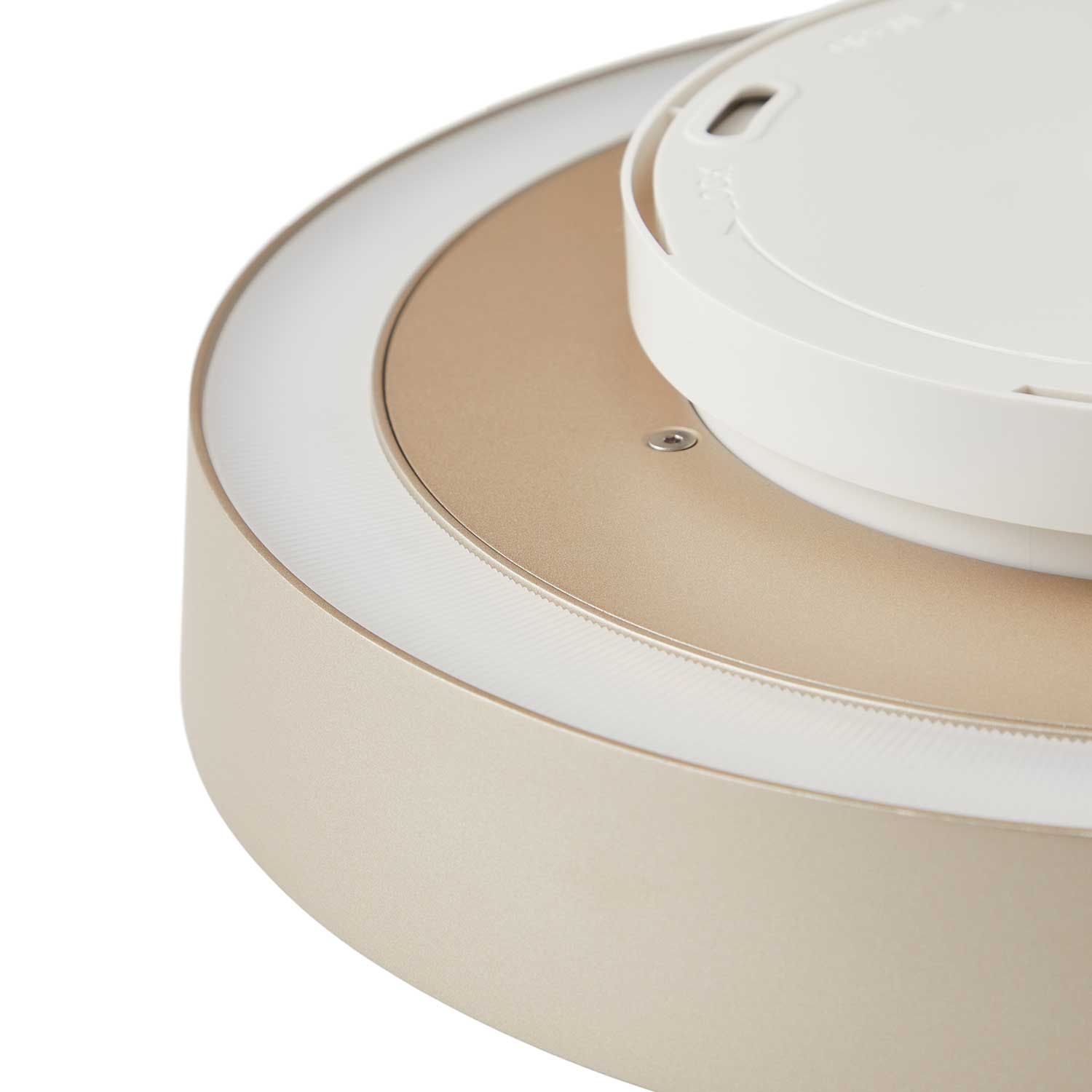 Avela Wall/Ceiling