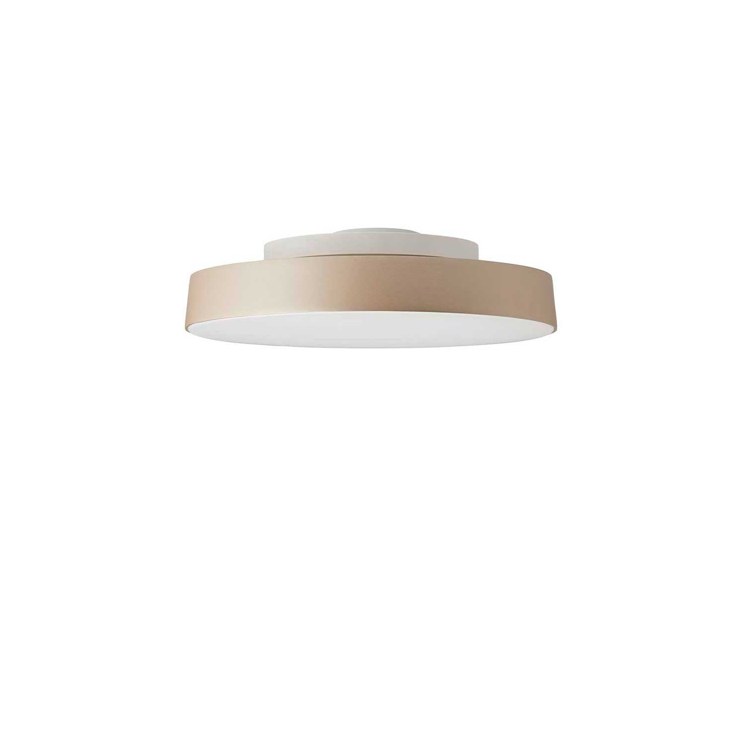 Avela Wall/Ceiling