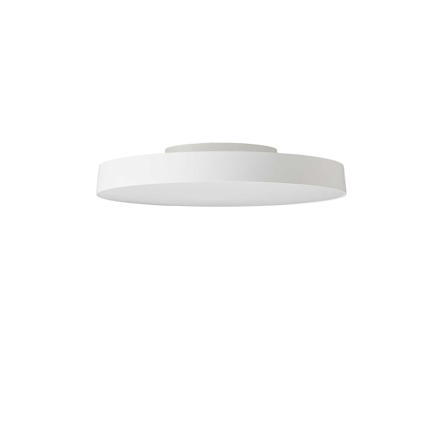 Avela Wall/Ceiling