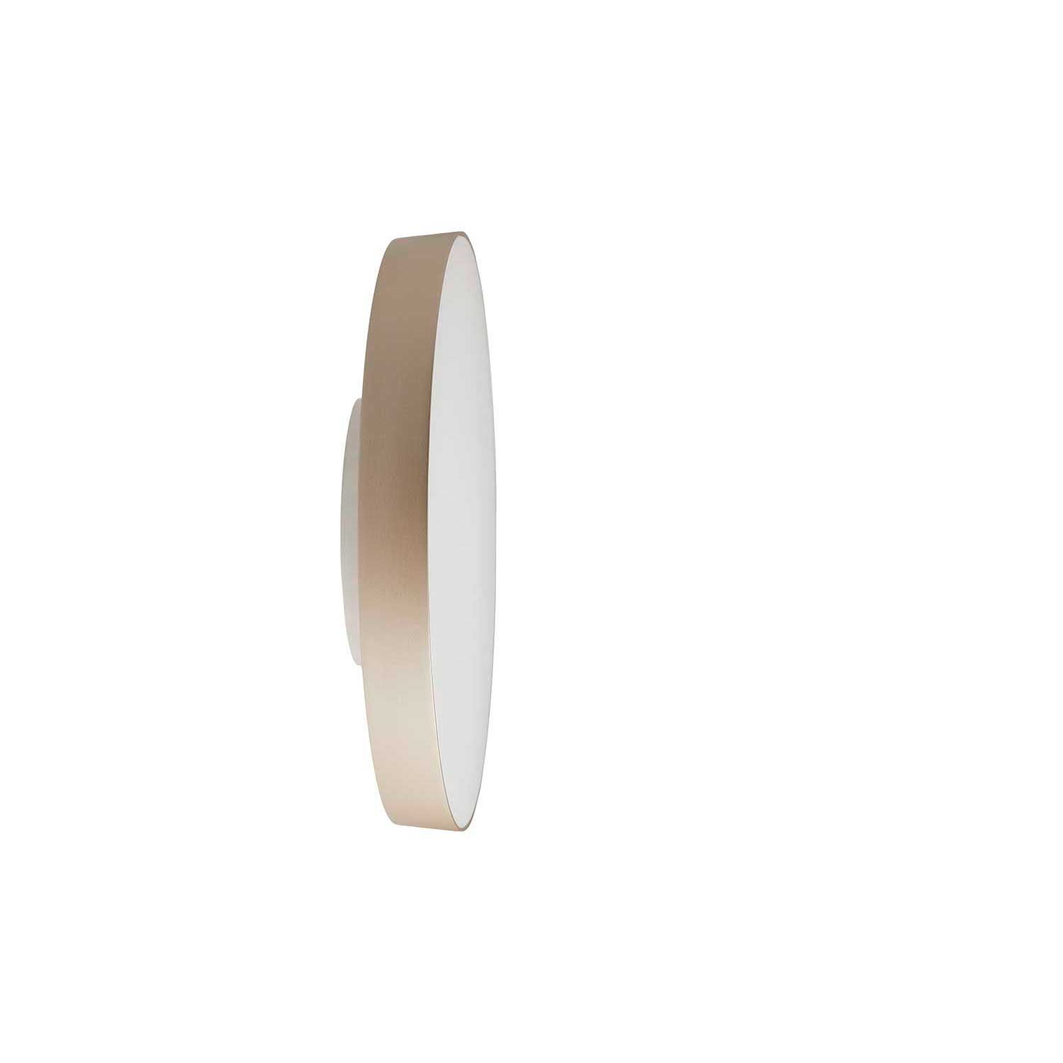 Avela Wall/Ceiling