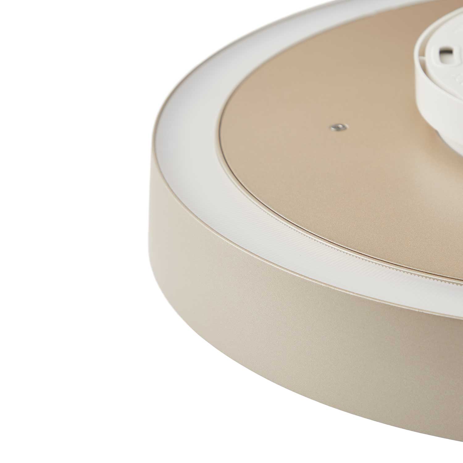 Avela Wall/Ceiling