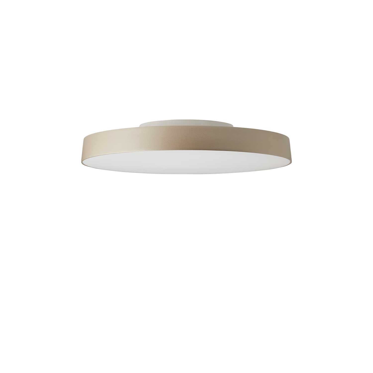 Avela Wall/Ceiling
