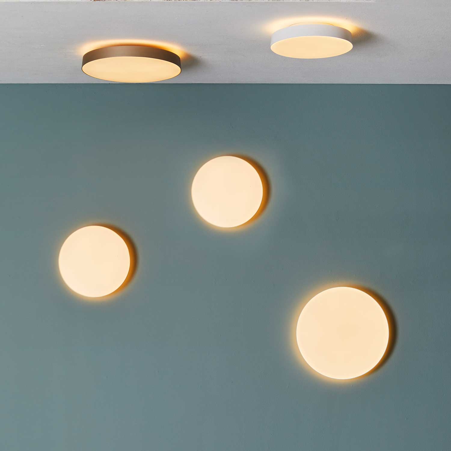 Avela Wall/Ceiling