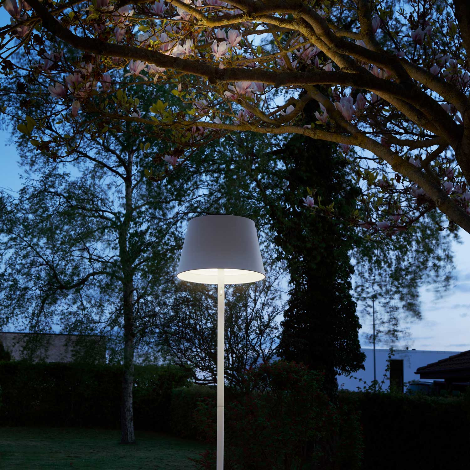 Modi FLOOR